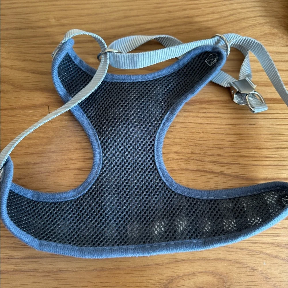 NWOT Cat Harness with Bow